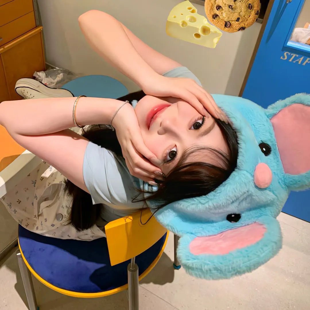 两只老虎