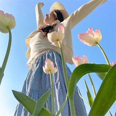 芭比之梦幻仙境